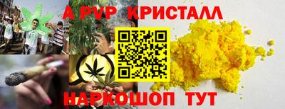 индика Кандалакша