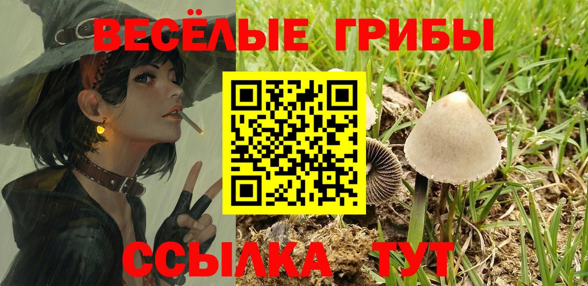 Галлюциногенные грибы ЛСД  Вход с VPN  что такое наркотик  Кстово 